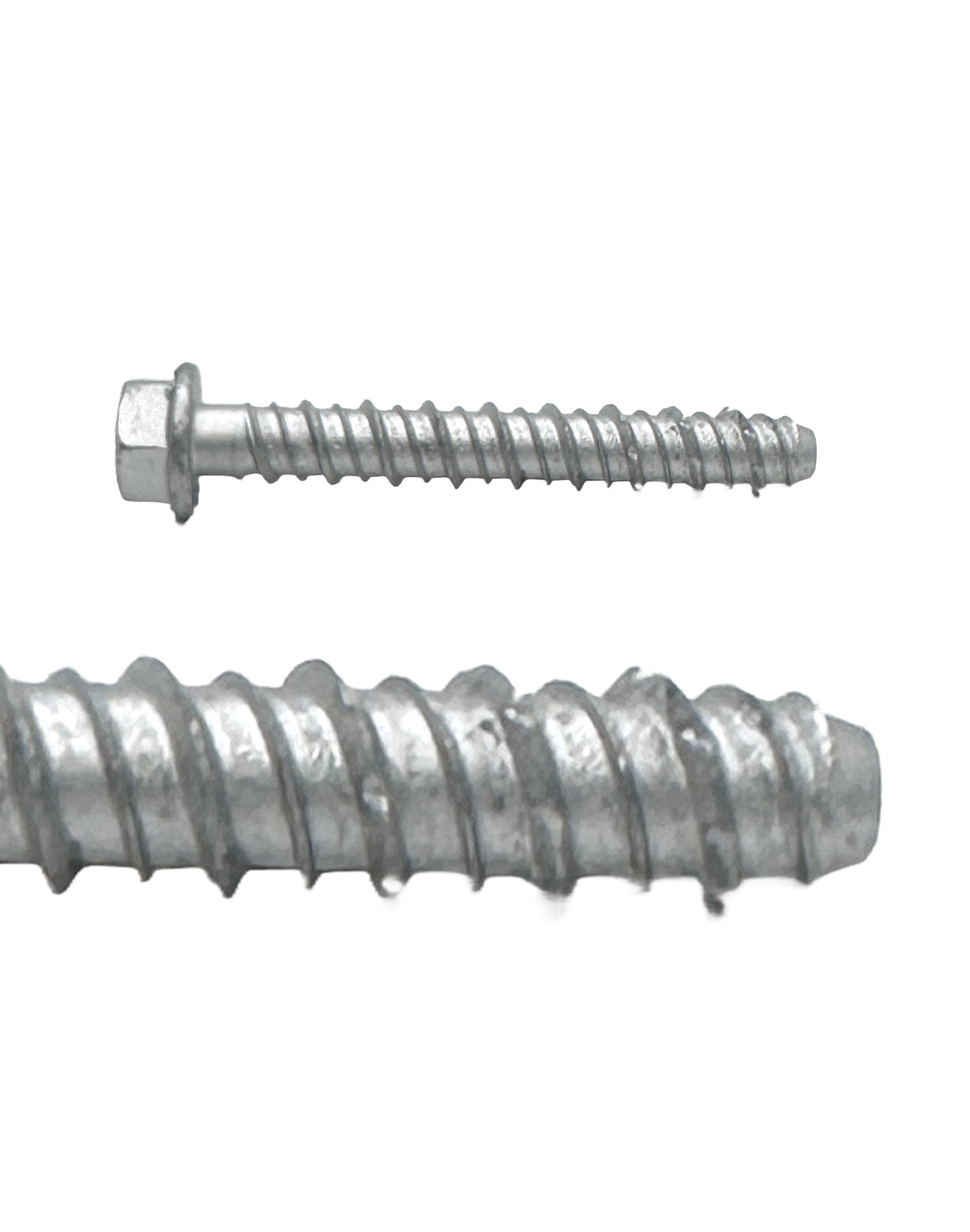 Concrete Bolt Hexagonal Head Zinc Plated for Channel (G1006-SCW) - SHEMONICO