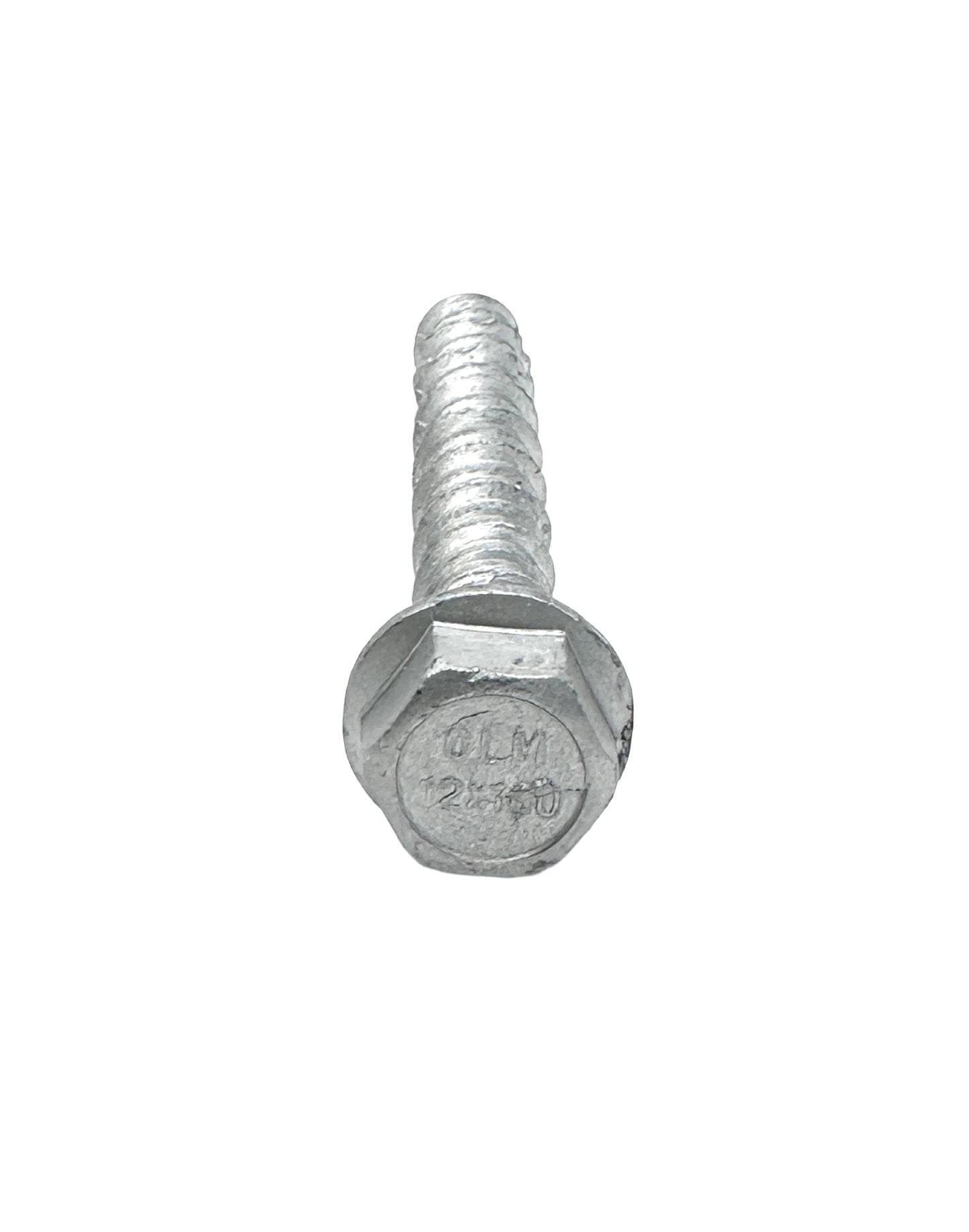 Concrete Bolt Hexagonal Head Zinc Plated for Channel (G1006-SCW) - SHEMONICO