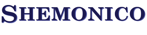 Store Logo