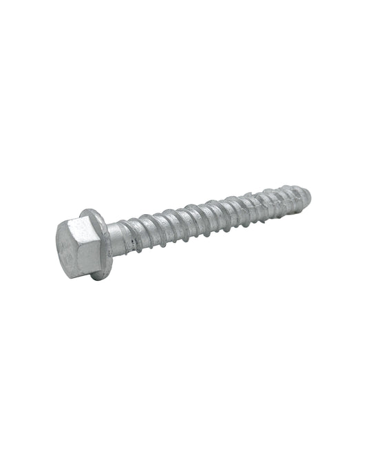 Concrete Bolt Hexagonal Head  Zinc Plated for Channel (G1006-SCW) - SHEMONICO
