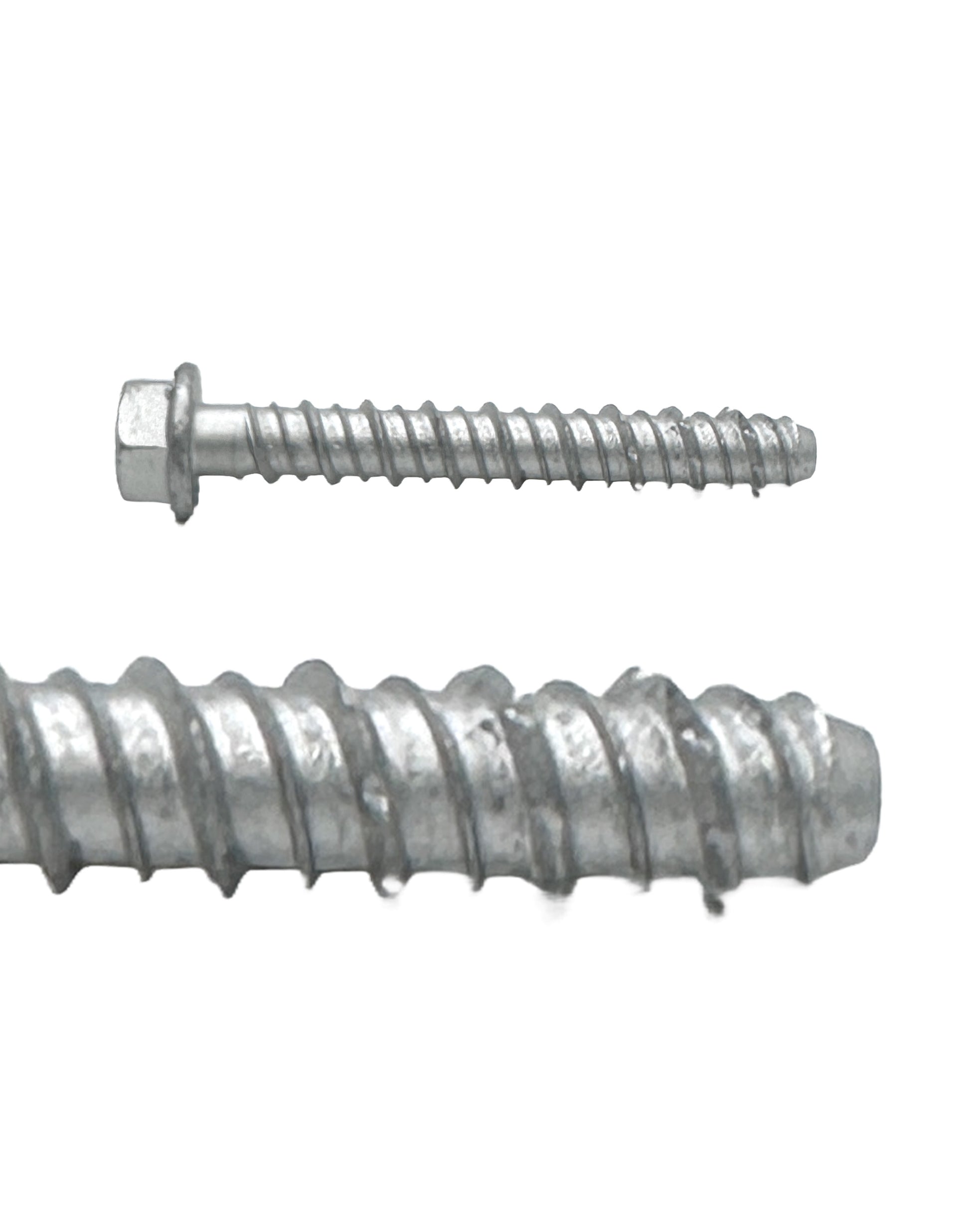 Concrete Bolt Hexagonal Head  Zinc Plated for Channel (G1006-SCW) - SHEMONICO