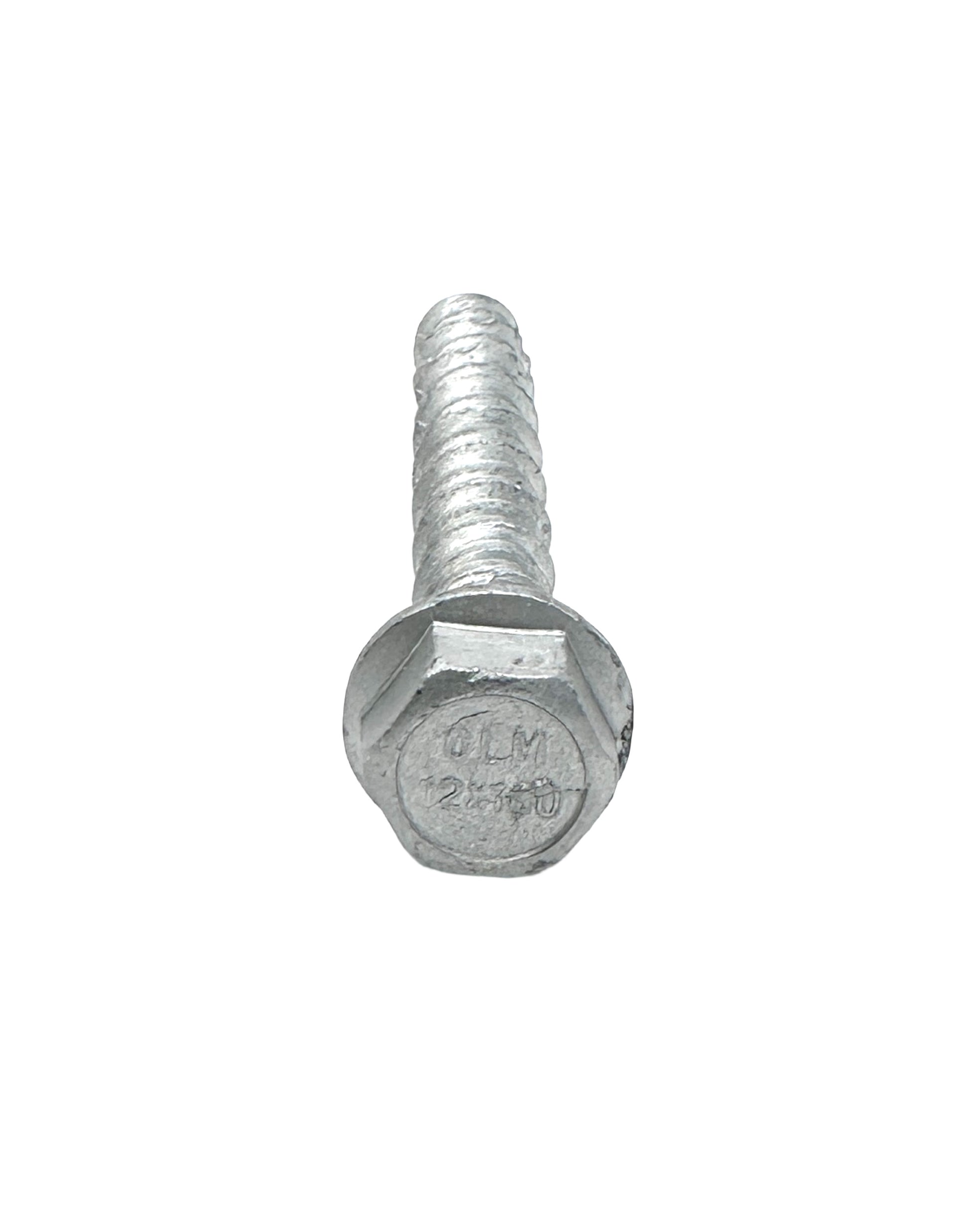 Concrete Bolt Hexagonal Head  Zinc Plated for Channel (G1006-SCW) - SHEMONICO